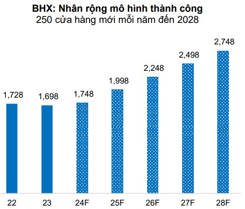 Phân tích chiến lược kinh doanh BHX