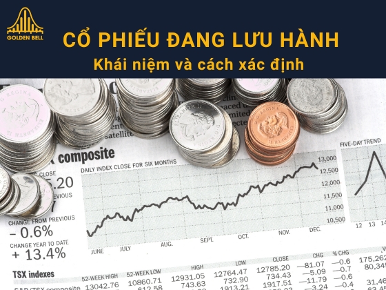 Cổ phiếu đang lưu hành là gì? Cách tính cổ phiếu đang lưu hành của một công ty