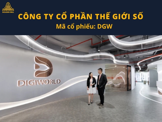 Phân tích tổng quan DGW – tình hình hiện tại và chiến lược phát triển