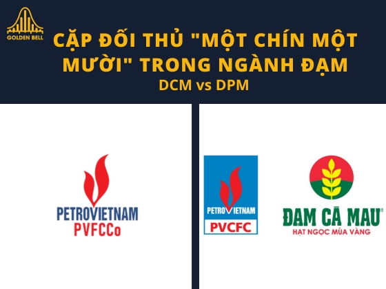 Con số về doanh thu và lợi nhuận DPM (12/2024). So sánh 2 ông lớn DPM và DCM