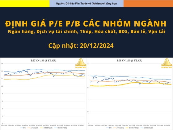 Định giá P/E P/B các nhóm ngành nổi bật ngày 22/12/2024