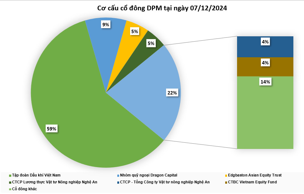 Biểu đồ thể hiện cơ cấu cổ đông DPM