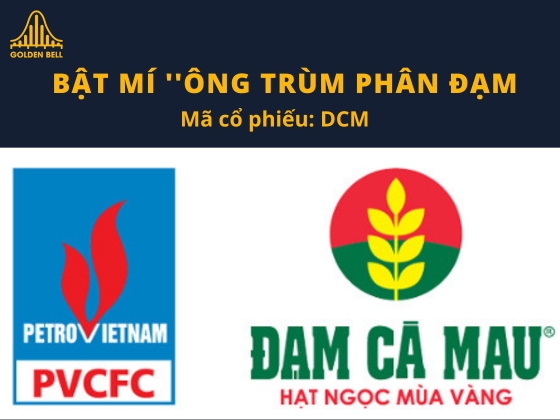 5 yếu tố đe dọa vị thế Đạm Cà Mau (DCM): Bật mí tình hình ”Ông trùm phân đạm”