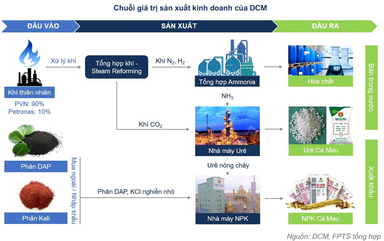 Chuỗi giá trị sản xuất của Đạm Cà Mau