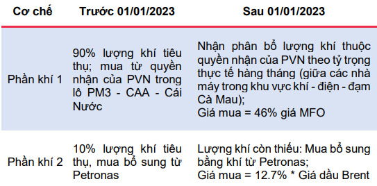 Cách tính giá khí nguyên liệu đầu vào của Đạm Cà Mau