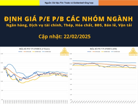 Định giá các nhóm ngành cập nhật đến ngày 21/02/2025